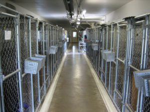 Row of kennels
